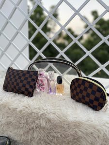 LV organizer bag Brown